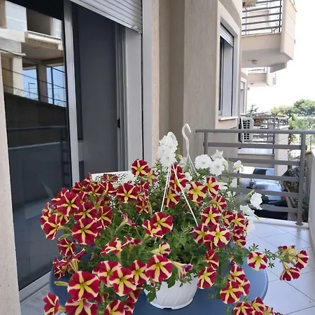Sunbelle Suites Apartment *